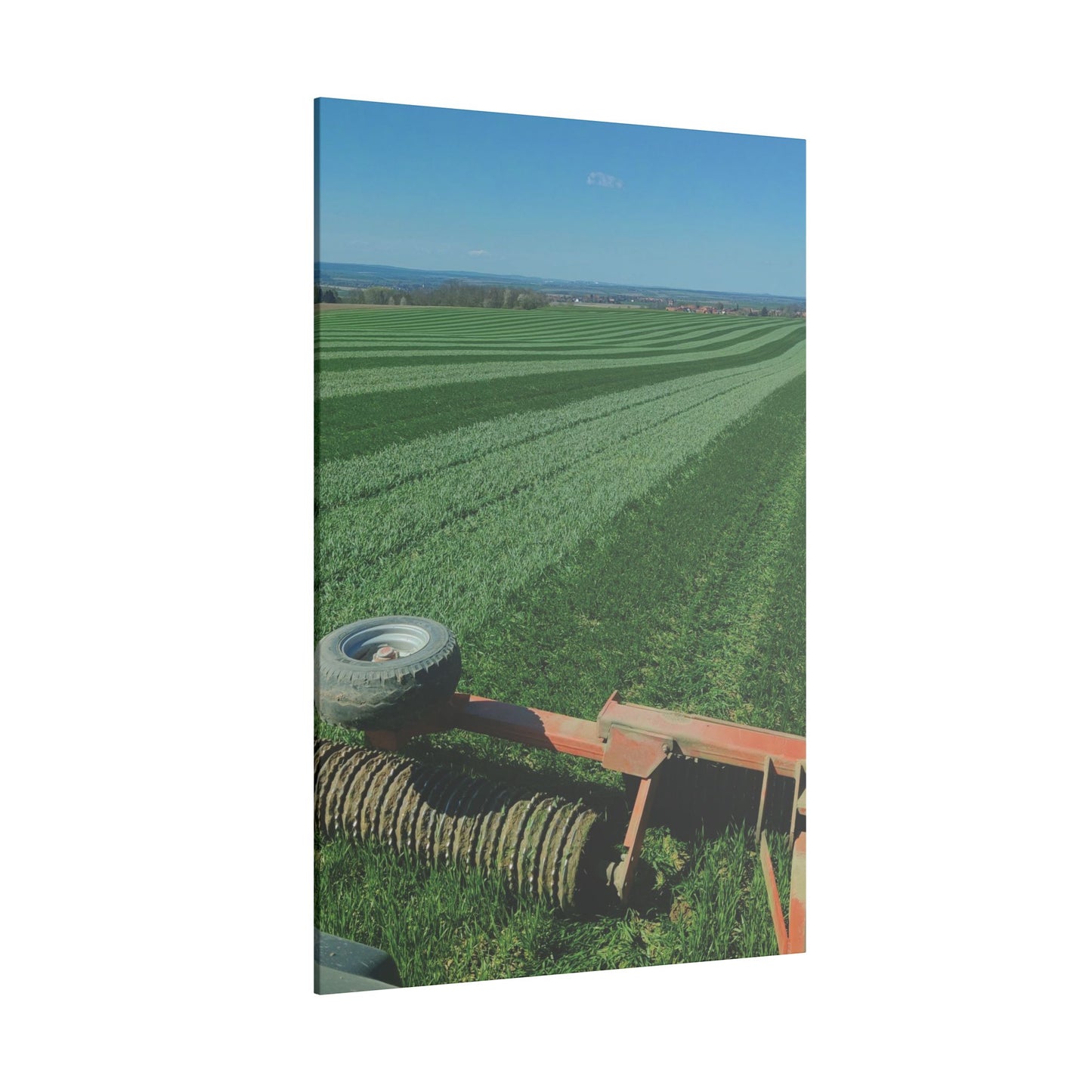 Leinwand 'Getreideacker walzen'
