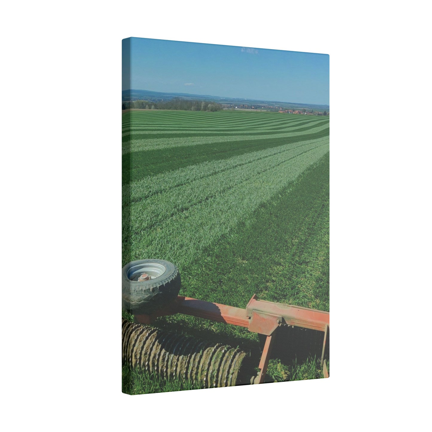 Leinwand 'Getreideacker walzen'