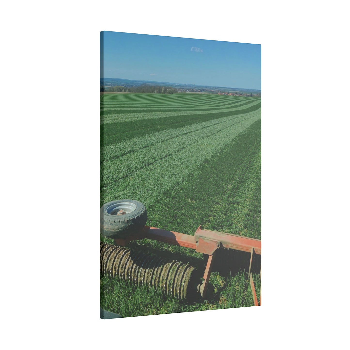 Leinwand 'Getreideacker walzen'