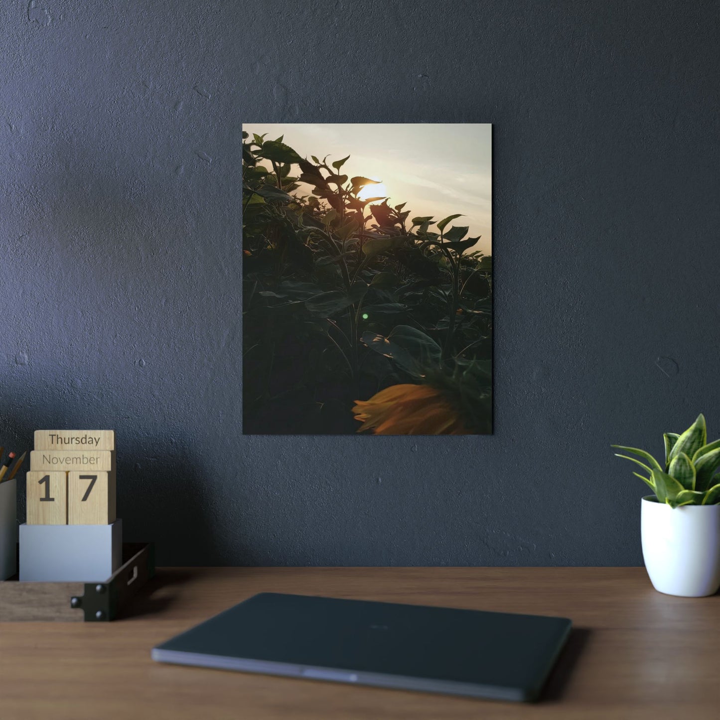 Metall Poster 'Sonnenblumen und Sonnenuntergang'