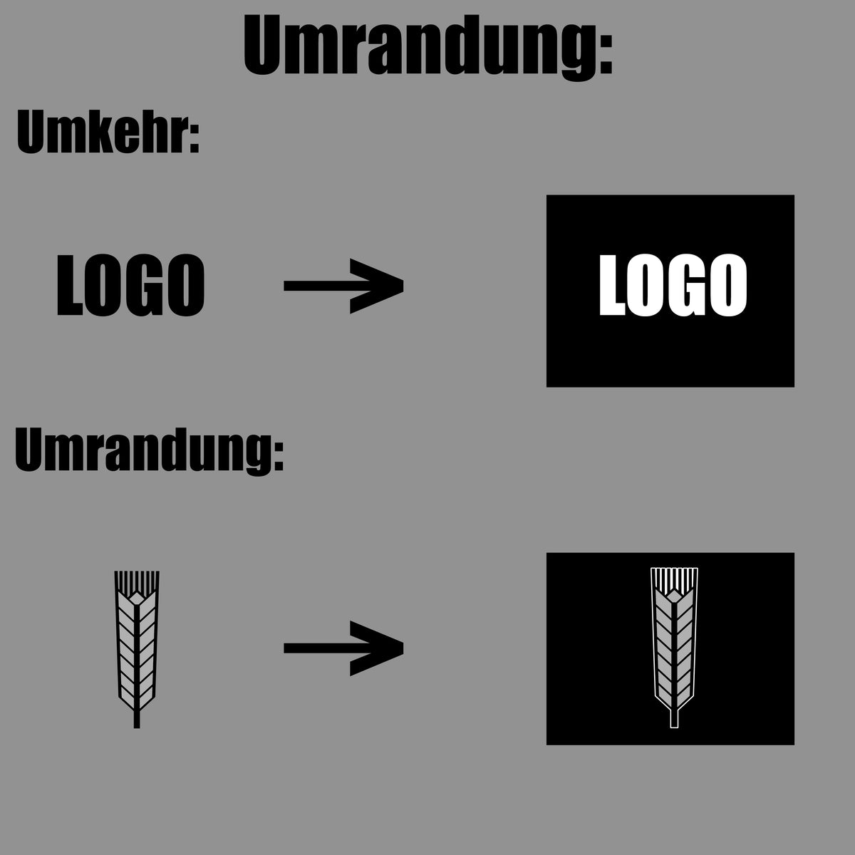 Erklärgrafik für Logo-Umrandung und Farbumkehr zur Anpassung auf dem Traktorteppich